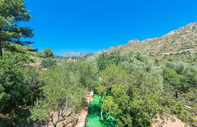 Sa Tarongera in Andratx - Foto 29