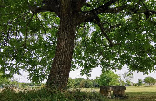 L'Ancienne Distillerie - Foto 10