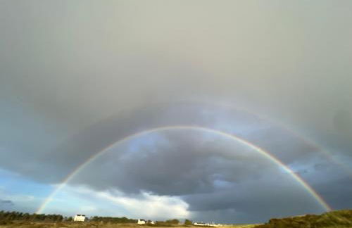 Au petit Cachou - Photo 10