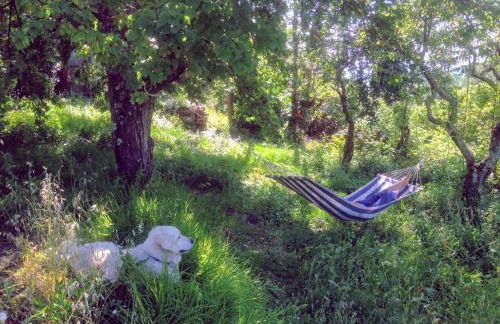 Ciglieri SantErmo Casciana Terme Lari PET&BIKE friendly FREE PARK - Foto 34