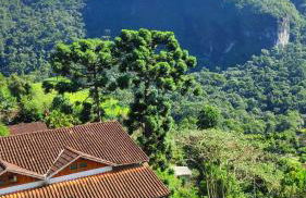 Cantinho Pedra da Gávea - Foto 33