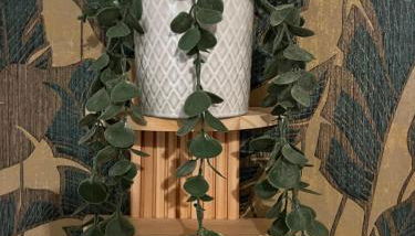 Wohnen im Musikerviertel-Apartment Sun - - Foto 5