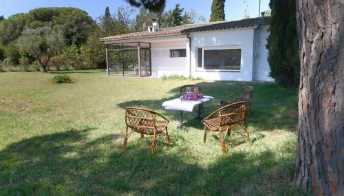 ROIG - Foto 5, Garden