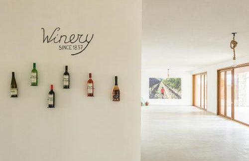 Agriturismo I sentieri del Vino - Lago Lucone - Foto 40