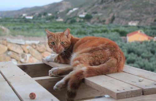 Rambla Retreats Apartment Rojo with shared pool & hot tub Stunning views in Oria - Foto 44