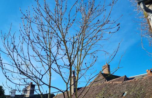 La Damoiselle en Bourgogne - Foto 46