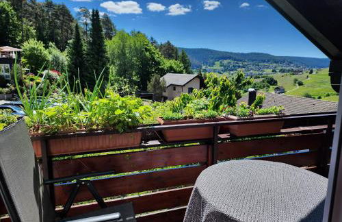 Schwarzwald-Ferienwohnungen Begert - Foto 47