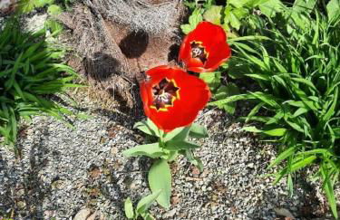 Casa Silvia - Foto 15