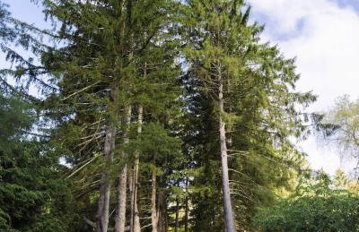 Private 37 Acre Lake Estate On 164 Acres - 11 Br - Foto 45