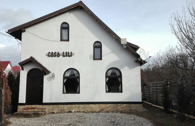 Lili's House - Photo 35