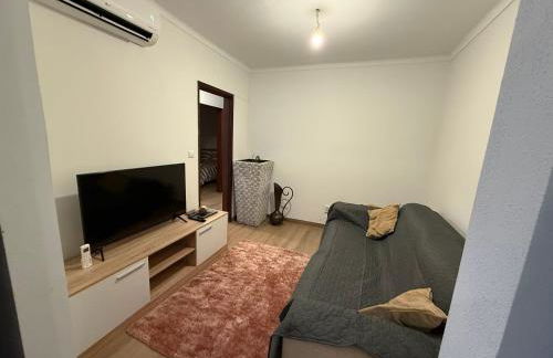 Cepas do Salgueiral - Guest House - Apartamento Centro de Tondela - Foto 5