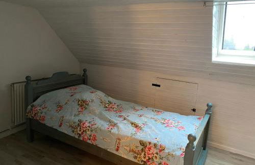 Nordwindoase - Photo 10