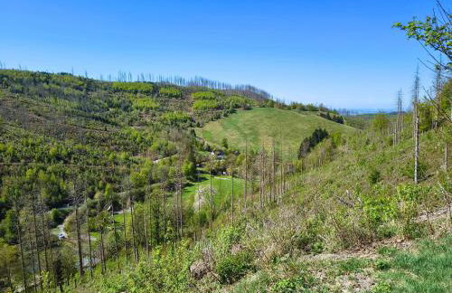 Ferienwohnung Mühlenteich by Hoheisel, Zaubernuss, Parken, Wanderstart, WLAN - Foto 35