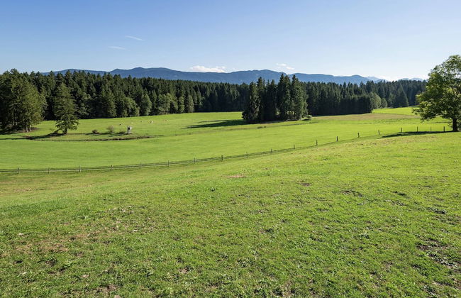 Peaceful Apartment in Reitersau Bavaria near Ski Area - Foto 21
