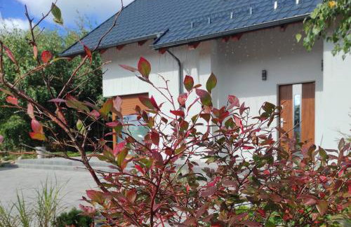 Willa w Brzozach Sznurki Spokojna 1 - Chmielno, Kaszuby, dom, jezioro - Foto 40