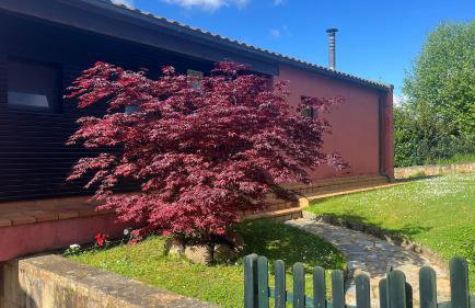 Vistas al Sueve - Foto 3