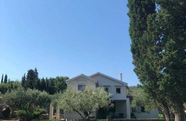 Villa Lithia - Foto 18