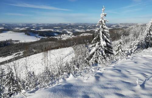 Ferienwohnungen Ingrid Alfes - Foto 23