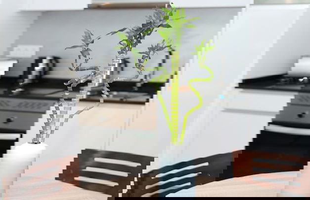 New Point Madrid Opera - Foto 37