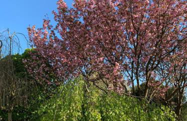 Landhaus Lehhof - Foto 51