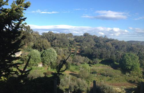 Solar da Roseira - Foto 21