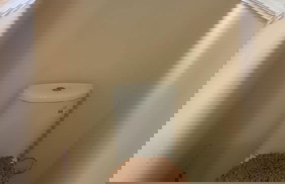 Buena vista Home 3 bedrooms House - Photo 9