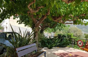 La Ultima Casa Masboquera - Foto 51