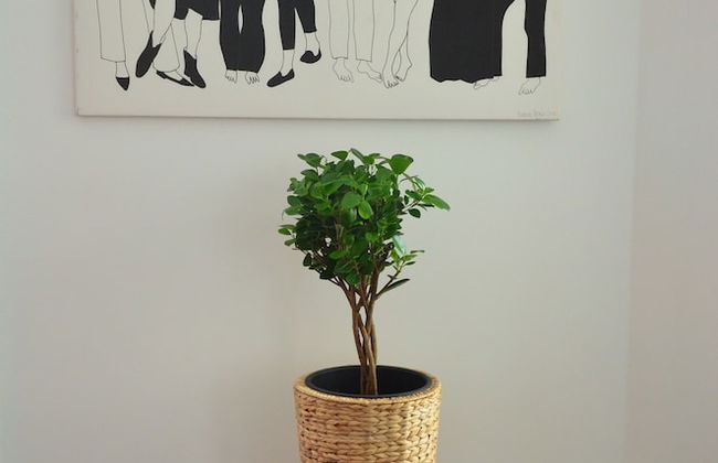 Soho Apartments - Grand Soho - Foto 11