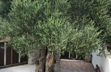 Creta Galini House - Foto 8