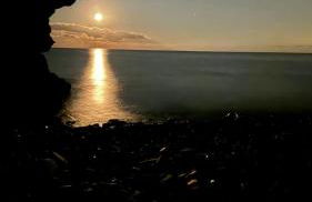 X2 Victory - Foto 29