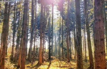 Ferienhof Weber Nieratz - Foto 3