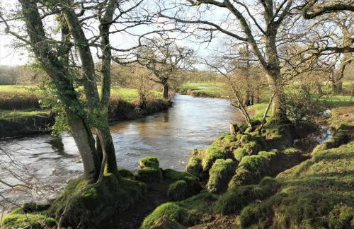 2 Bed in Launceston oc-81077 - Foto 20