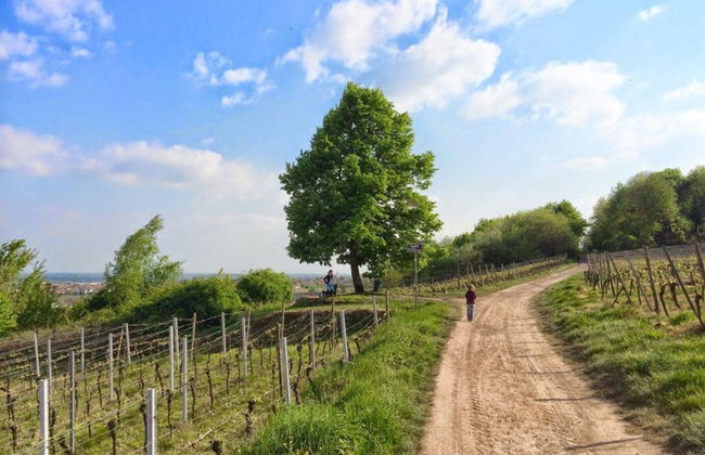 Holiday Apartment Harle-wack - Photo 15