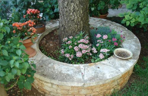 Apartmani Tijano - Photo 41