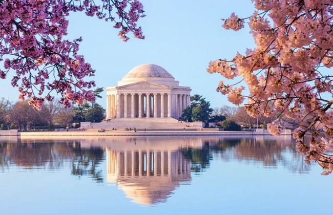 VA - Avalon - Apt 301 - Photo 22