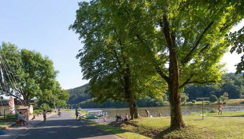 Gästezimmer - Ferienwohnung 1 - Brauhaus Dürr - Foto 2