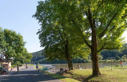 Gästezimmer - Ferienwohnung 1 - Brauhaus Dürr - Foto 2