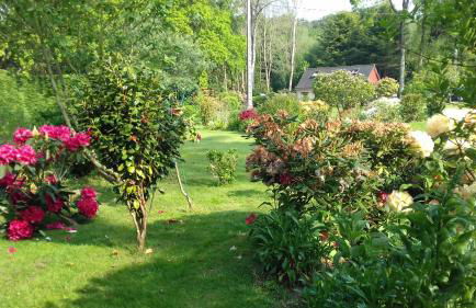 Au gite du bois d'amour - Foto 26