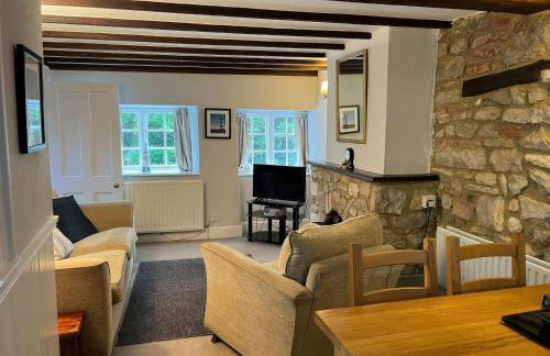 Little Ivy - Photo 4