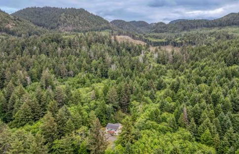 Whales Way - Foto 64