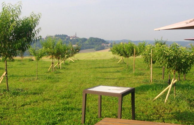 Il Balcone Sul Monferrato - Foto 43