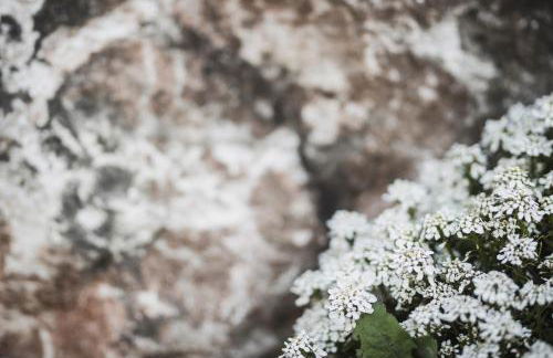 Chalet BERGSUCHT in Ruhpolding Bayern, Traumlage am sonnigen Südhang, kostenlose Parkplätze, schnelles WLAN, ruhige Sackgasse, NETFLIX inklusive - Foto 42