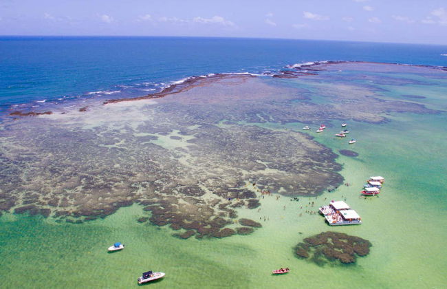 Excursion à la plage de Maragogi - Photo 2