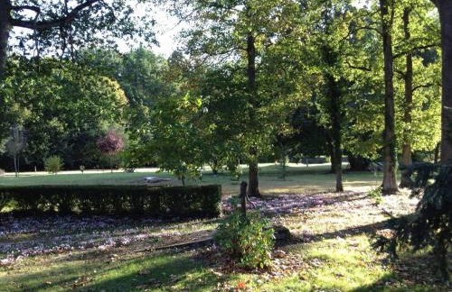 Maison de plain-pied avec parc arboré proche Zoo de Beauval - FR-1-491-335 - Foto 23