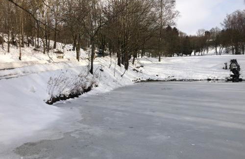 App 510 Panoramic Hohegeiß mit Fernblick - Foto 33