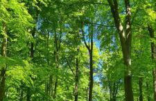 Ferienhaus Karola - Foto 41