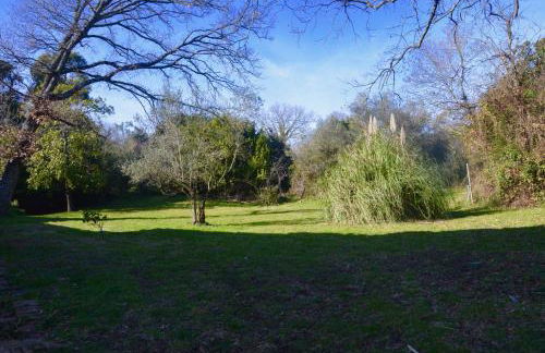 Il Giardino Secreto - Foto 35