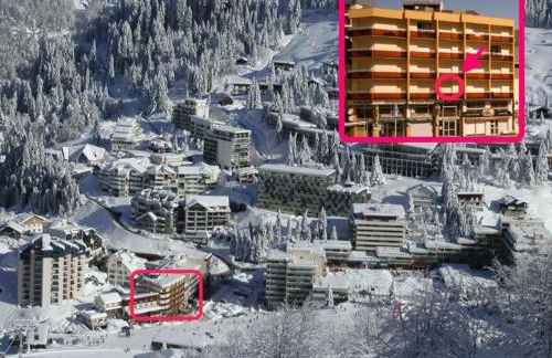 Studio confort à Gourette pour 4 pers, animaux admis - FR-1-859-15 - Foto 5