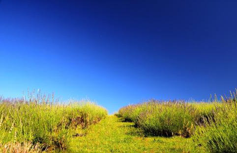 Lavanda farm apartmani - Foto 11