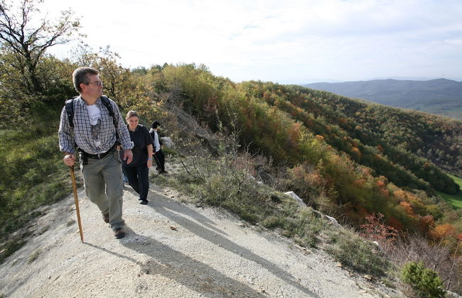 Bio Agriturismo La Cerqua - Foto 65